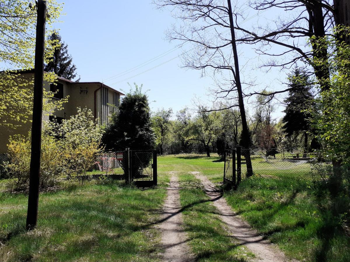 Zwolaki * Ulanow